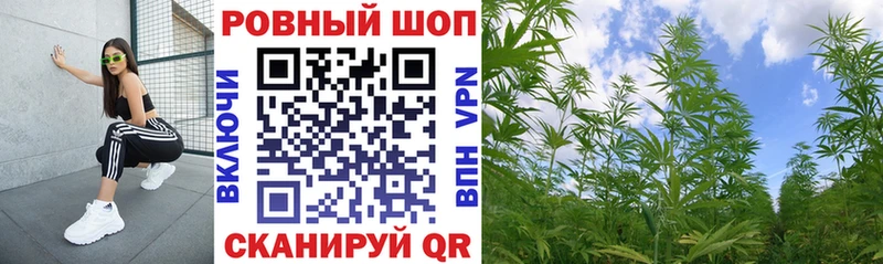 Меф Кандалакша