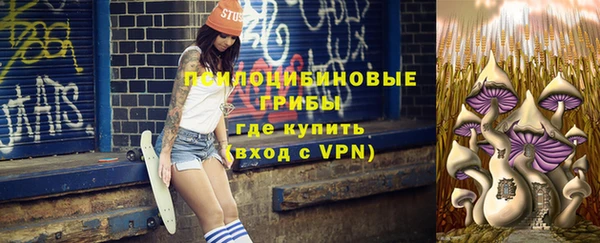 мяу мяу мука Медвежьегорск