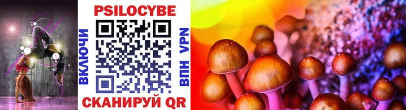 Псилоцибиновые грибы Cubensis Кандалакша